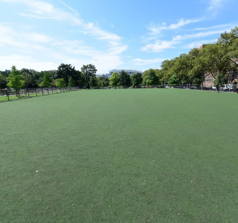 Soccer Field image 3