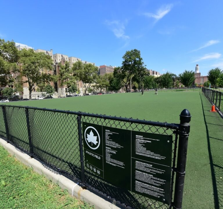 Soccer Field image 2