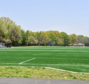 Soccer Field image 3