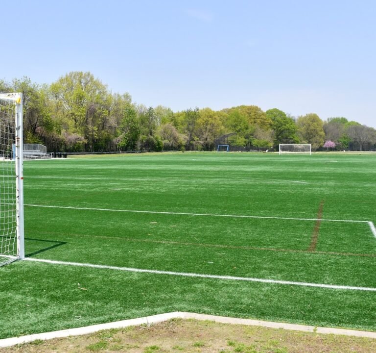 Soccer Field image 2