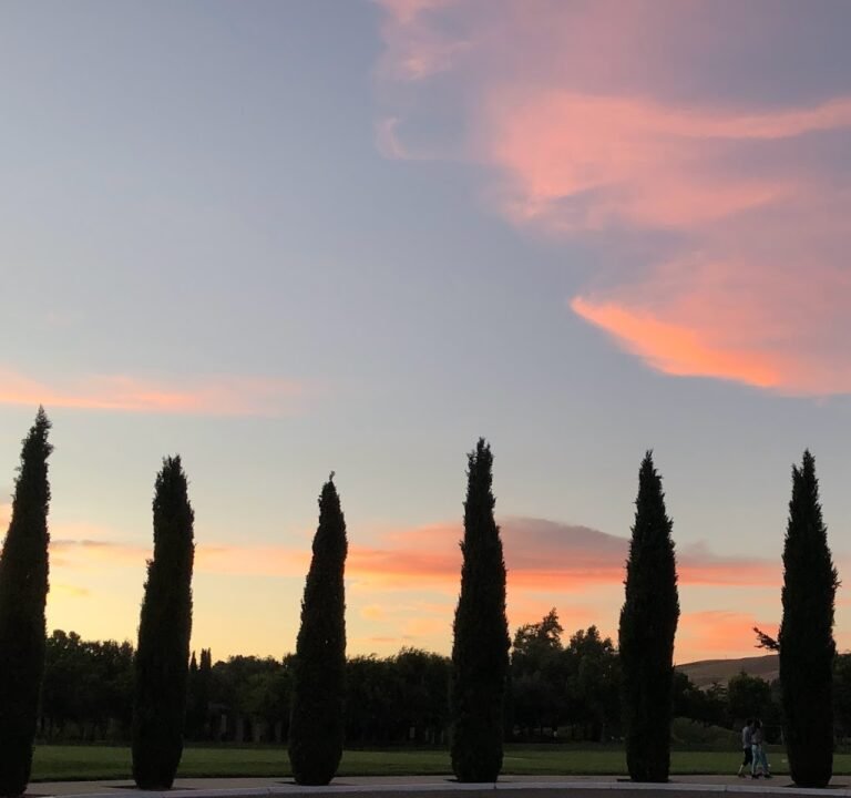 Soccer Field image 2