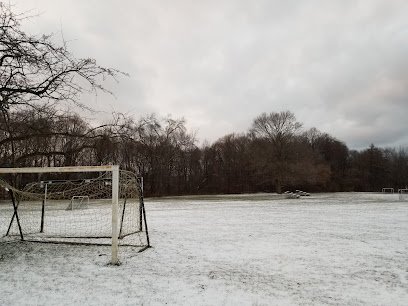 Soccer Field image 1