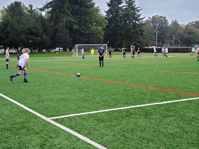 Soccer Field image 1