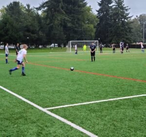 Soccer Field image 2