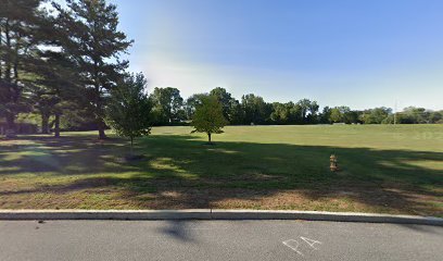 Soccer Field image 1