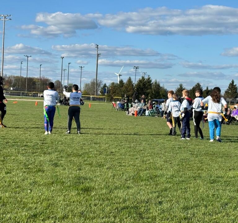 Soccer Field image 2