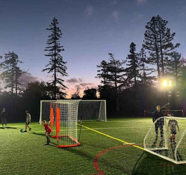 Soccer Field image 3