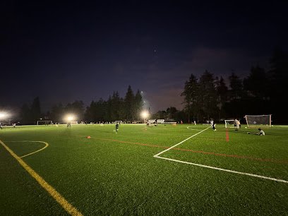 Soccer Field image 1