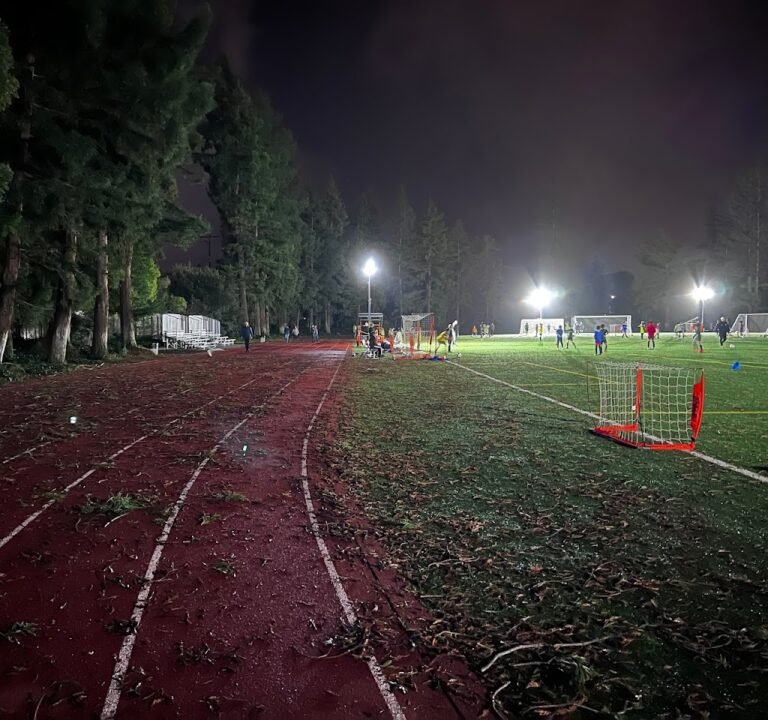 Soccer Field image 2