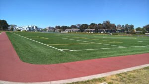 Soccer Field image 1