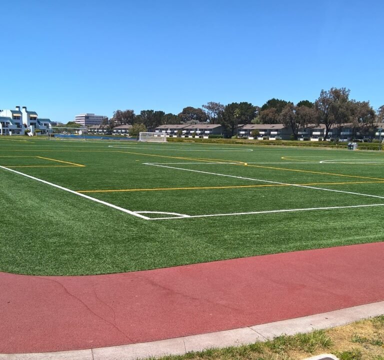 Soccer Field image 2