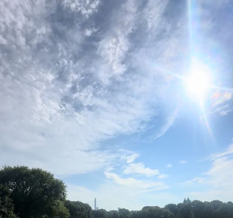 Soccer Field image 4