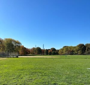 Soccer Field image 3