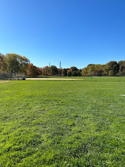 Soccer Field image 1