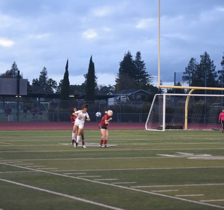 Soccer Field image 2