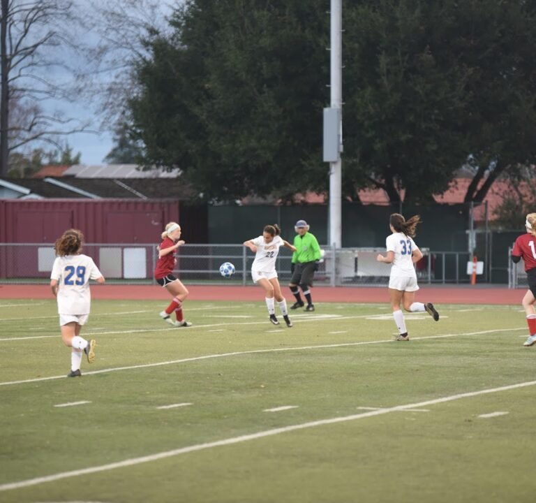 Soccer Field image 3