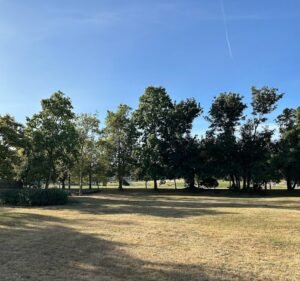 Soccer Field image 2