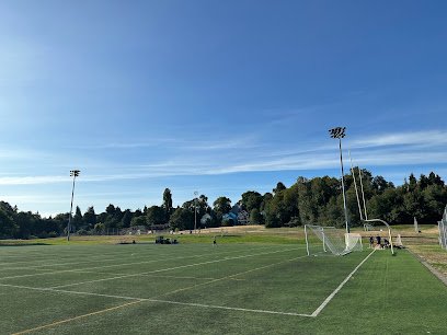 Soccer Field image 1