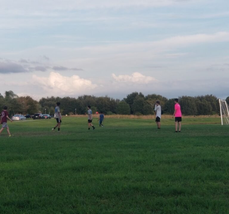 Soccer Field image 2