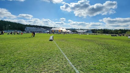 Soccer Field image 1