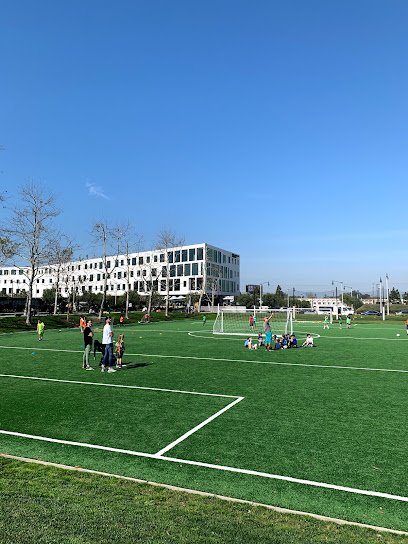 Soccer Field image 1