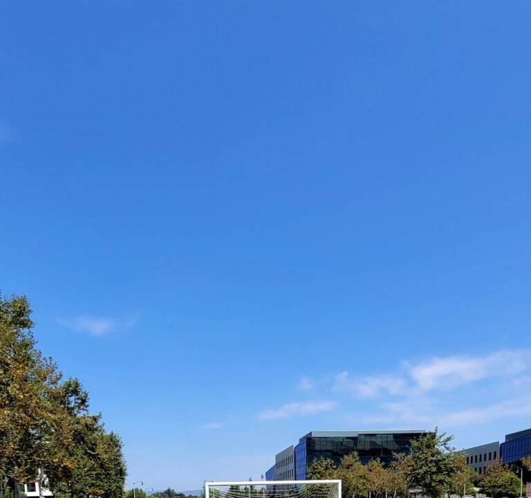 Soccer Field image 2