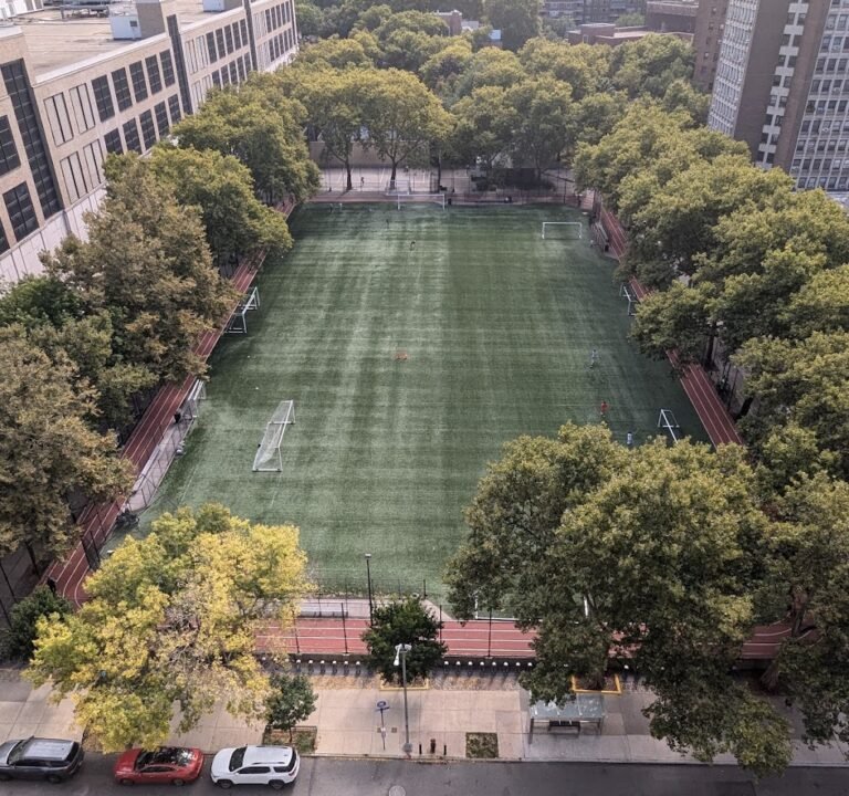 Soccer Field image 2