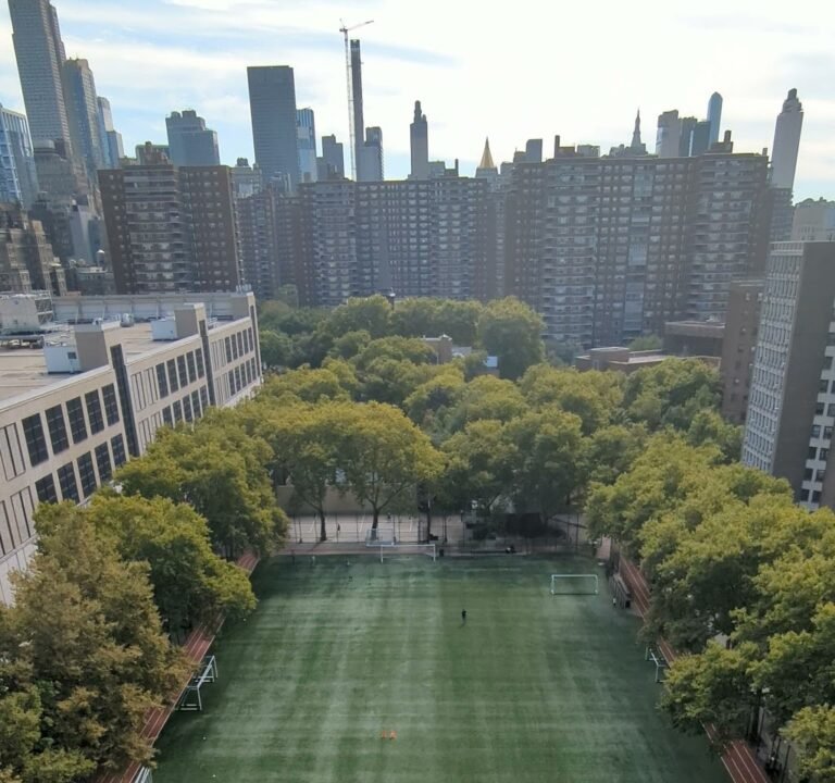 Soccer Field image 4