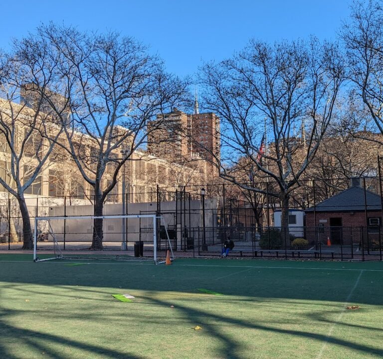 Soccer Field image 3