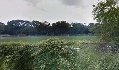Soccer Field image 1