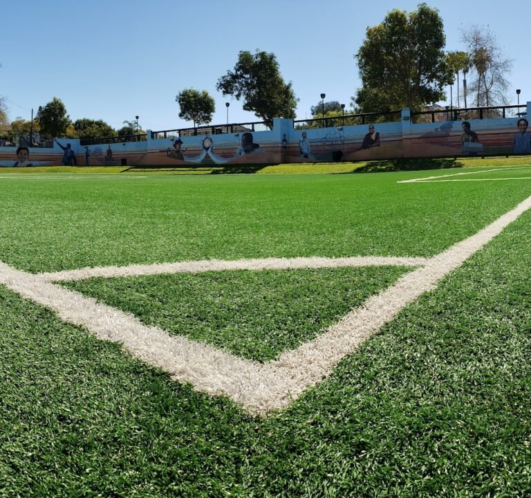 Soccer Field image 2