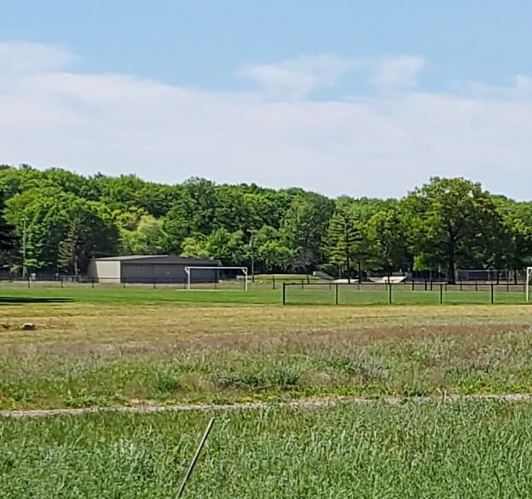 Soccer Field image 2