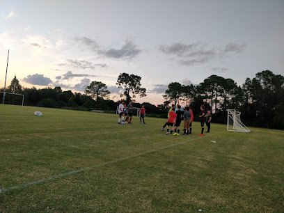 Soccer Field image 1