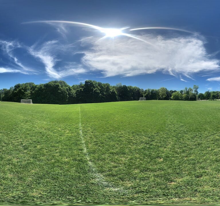 Soccer Field image 3