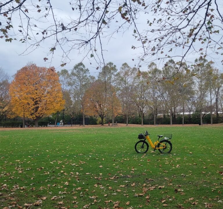 Soccer Field image 2