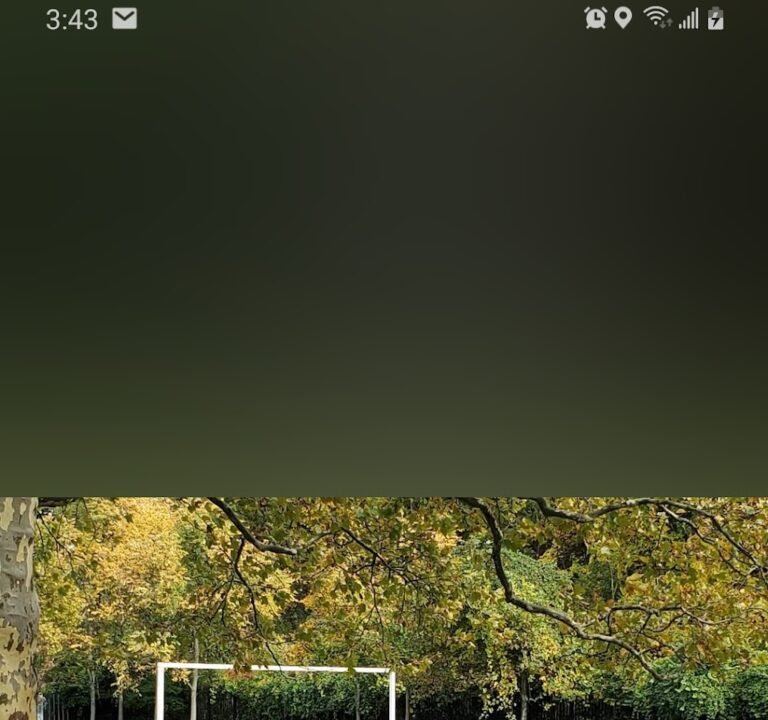 Soccer Field image 2