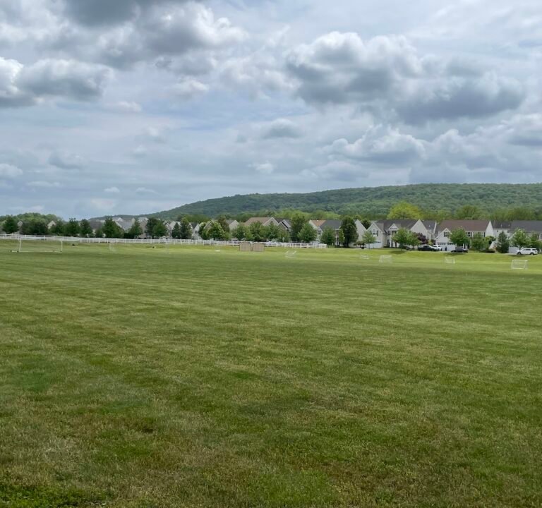 Soccer Field image 2