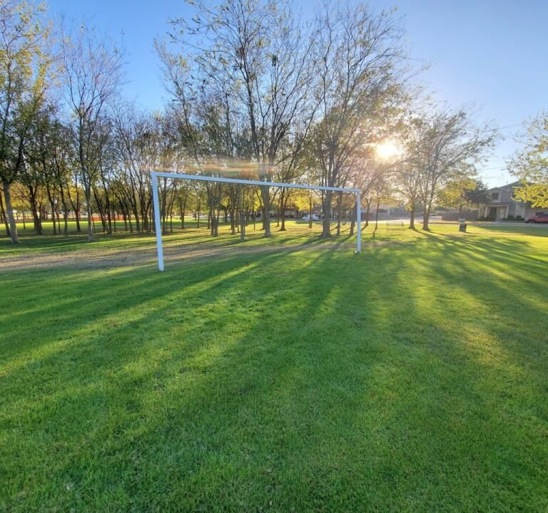 Soccer Field image 2