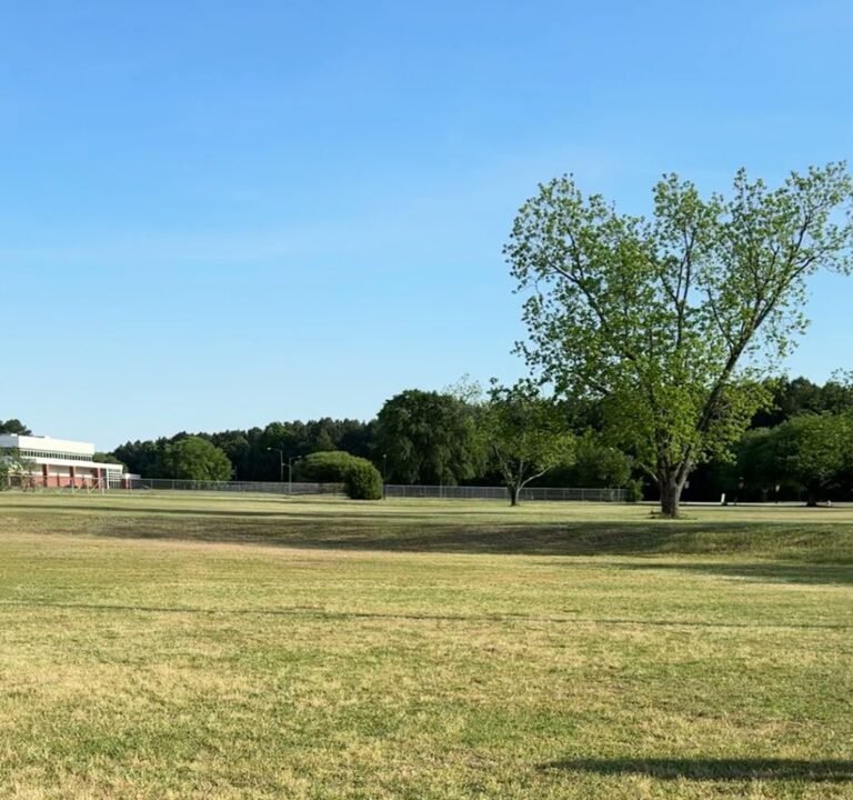 Soccer Field image 2