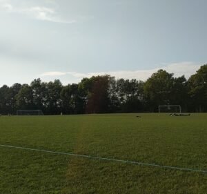 Soccer Field image 2