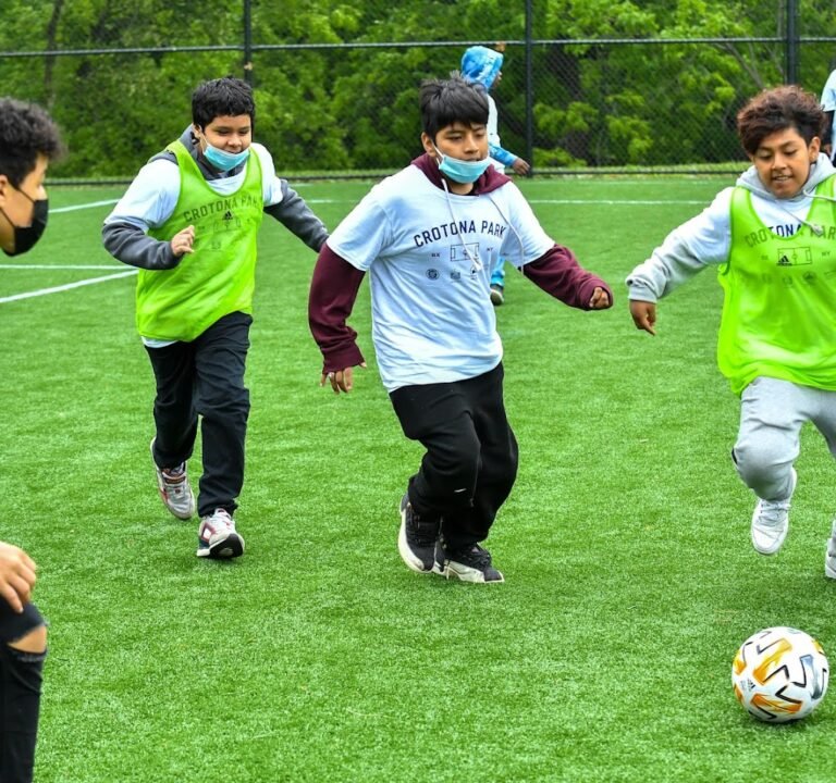 Soccer Field image 2