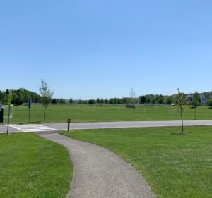 Soccer Field image 3