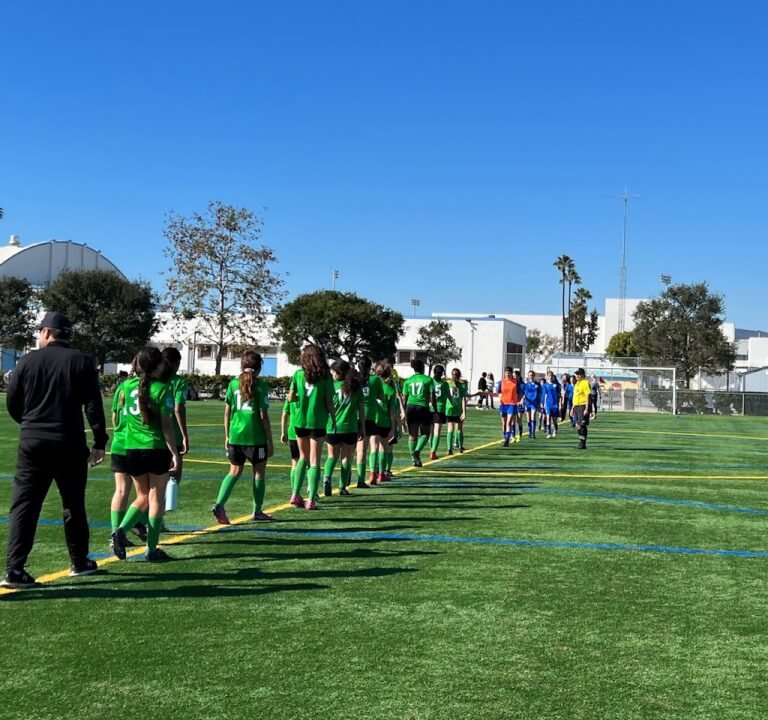 Soccer Field image 2