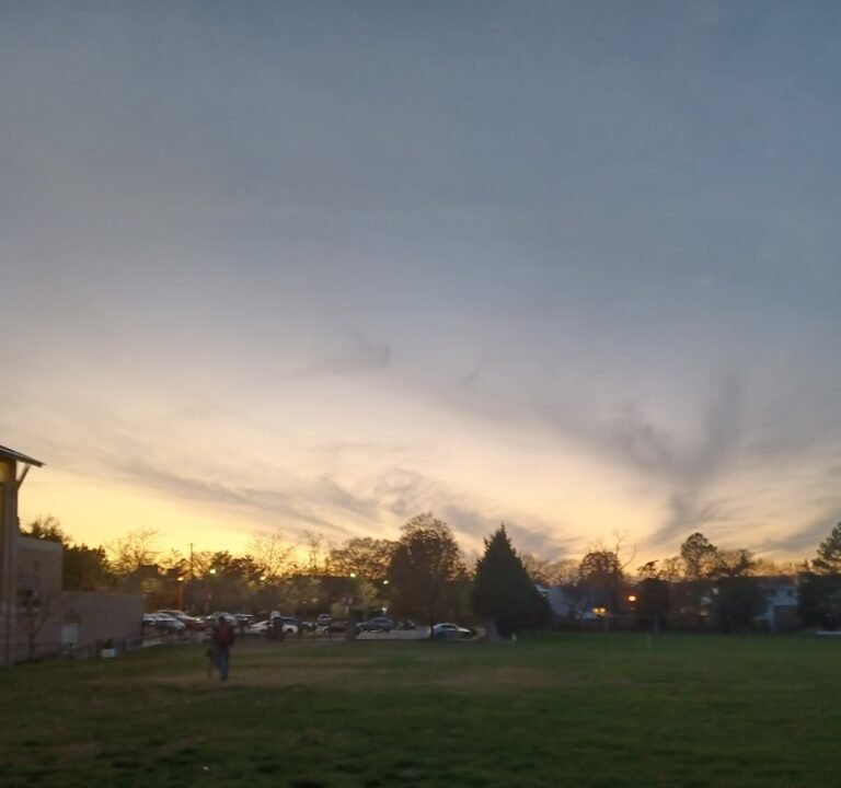 Soccer Field image 2