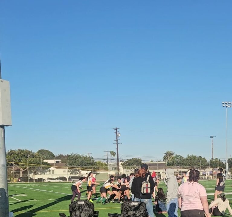 Soccer Field image 3