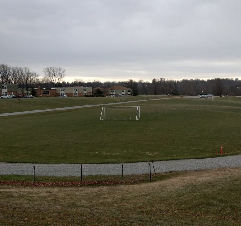 Soccer Field image 3