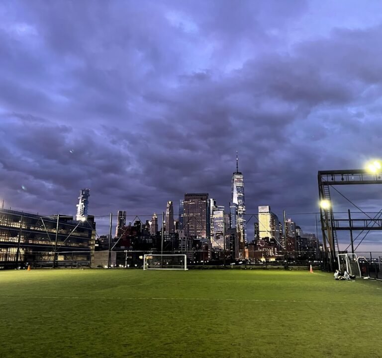 Soccer Field image 2