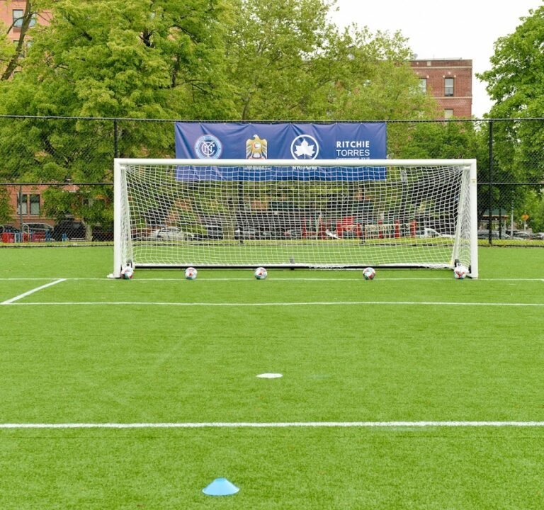 Soccer Field image 3