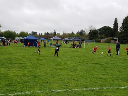 Soccer Field image 1