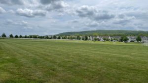 Soccer Field image 1